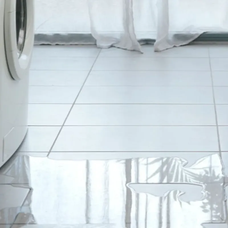 Appliance Leak Cleanup in Millsboro, DE